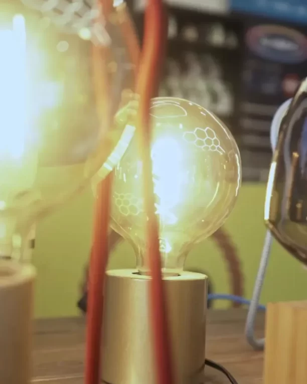 video-capture-t0000.00seg-4065